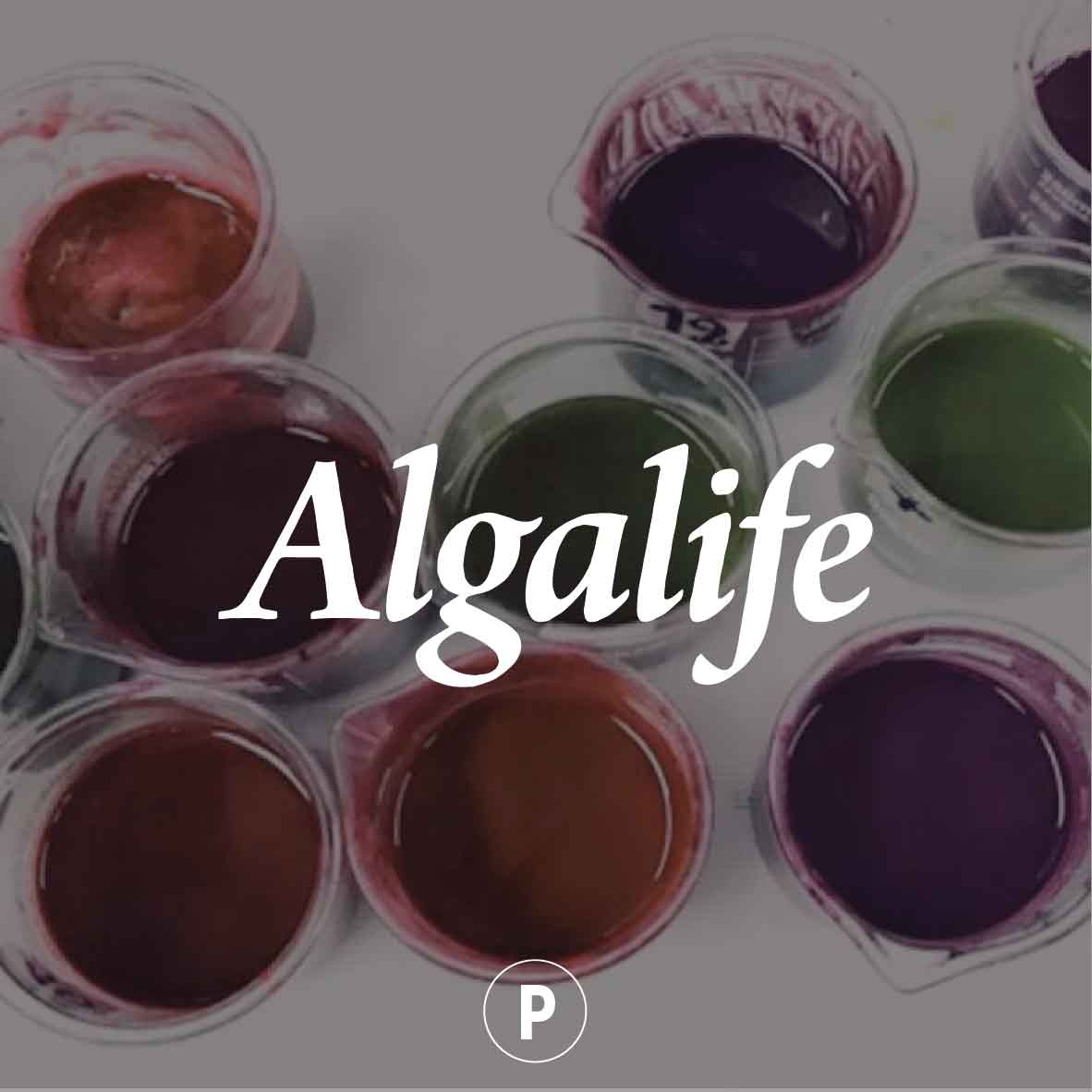 Algalife Algalife
